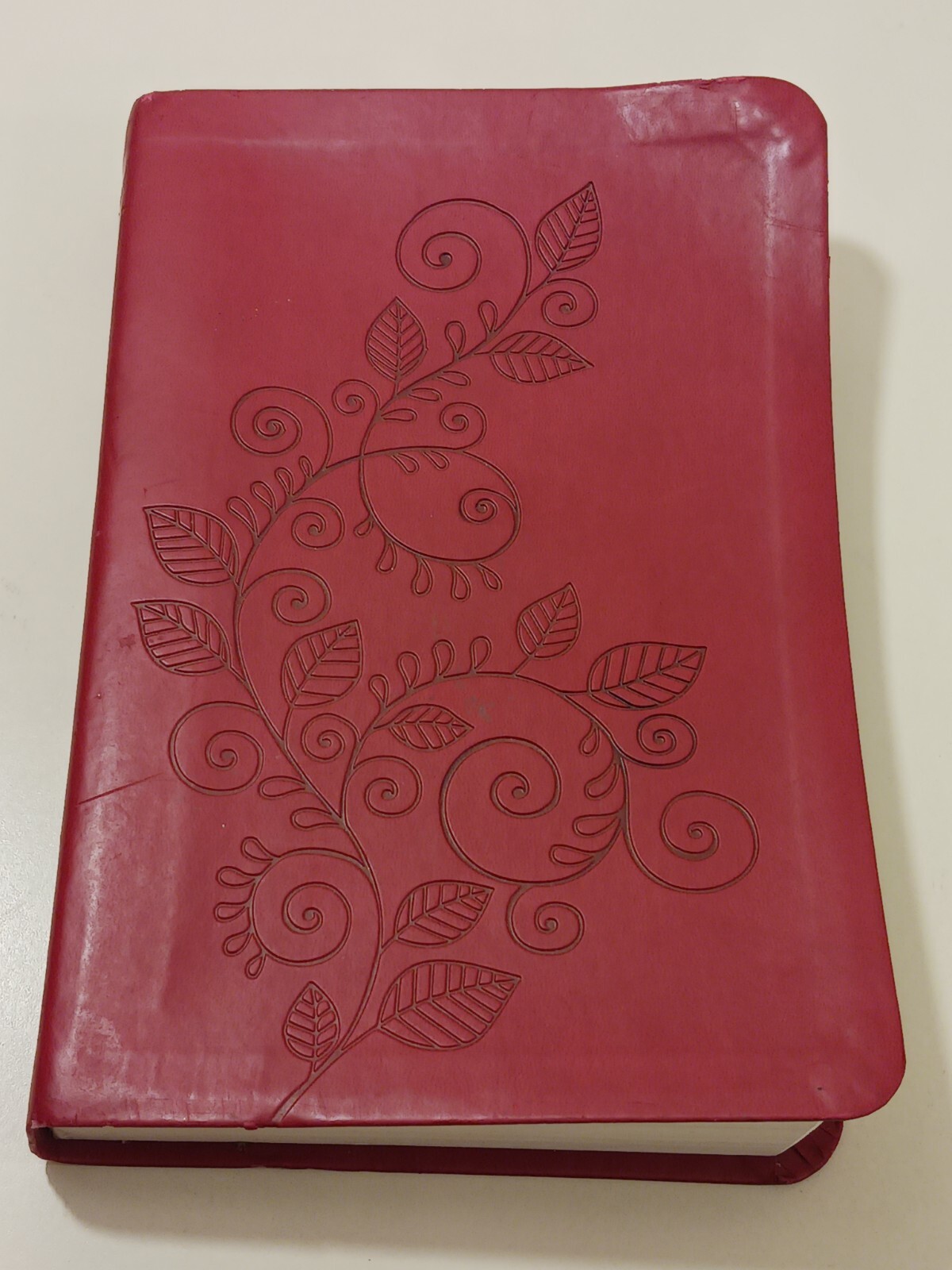New King James Version gift and award Bible 2013 Holman Bible publishers red bin