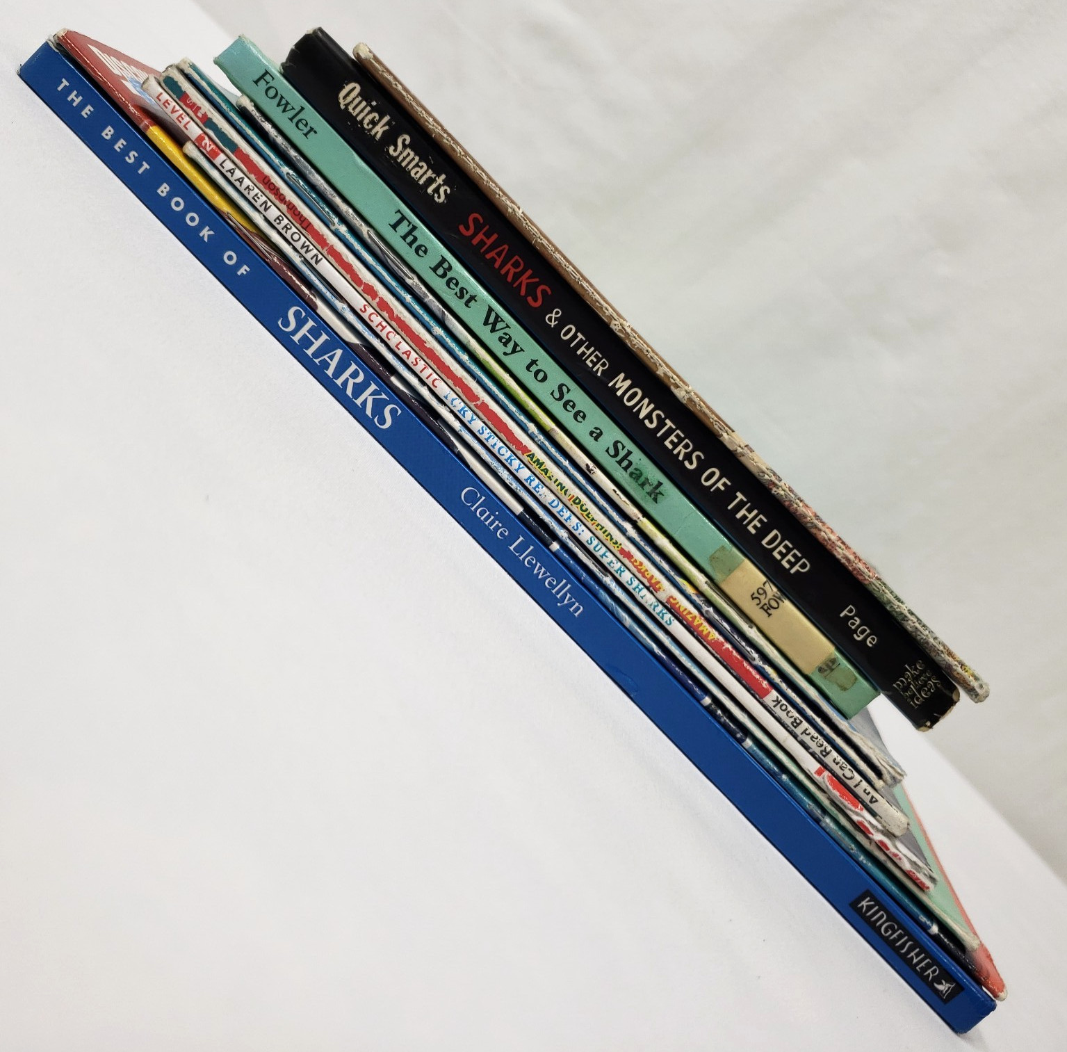 Kids Books About Sharks Lot Of 10 Homeschool Classroom Oceans Fish Nonfiction