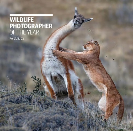 Wildlife Photographer of the Year: Portfolio 29 (hardcover)