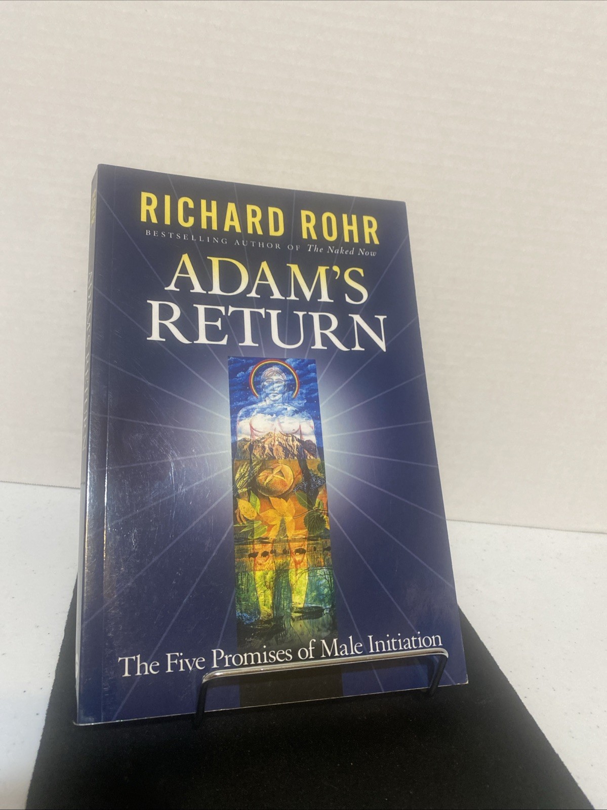 Adam’s Return : The Five Promises of Male Initiation by Richard Rohr (2004,…