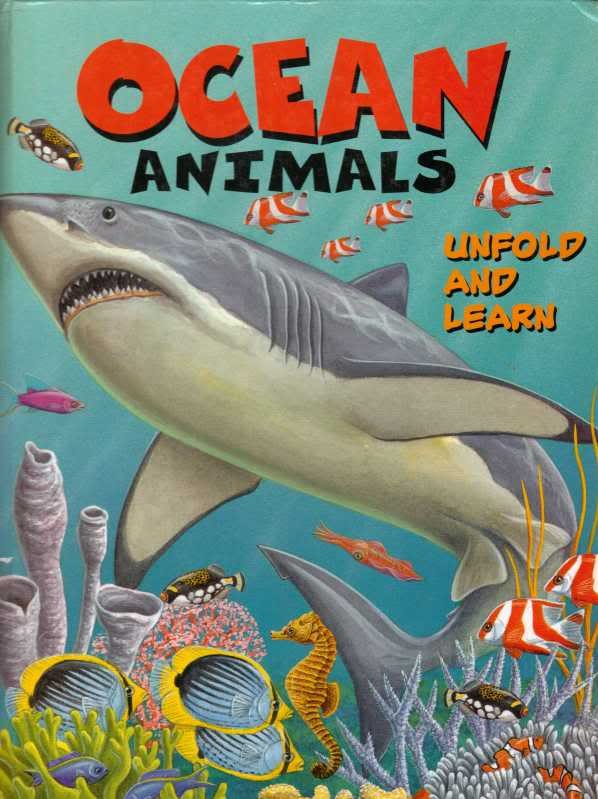 Ocean Animals Unfold and Learn Fish Coral Dolphin HC 2003