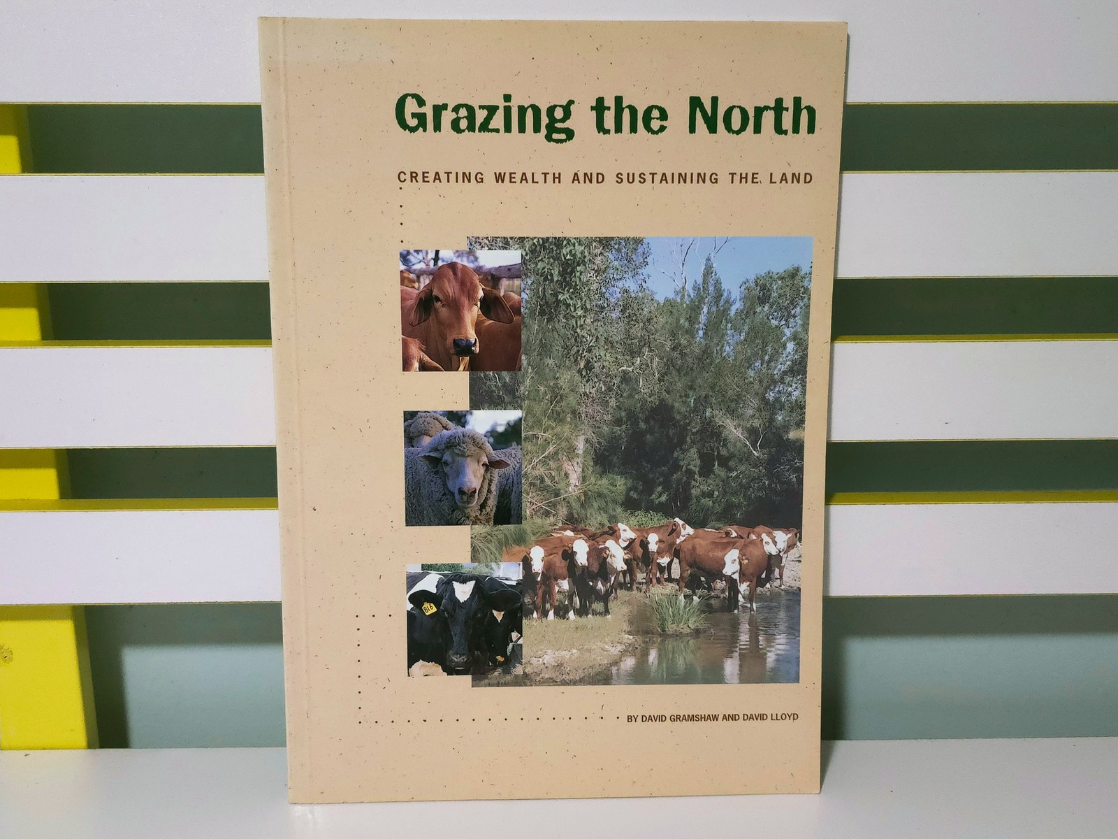 Grazing the North: Creating Wealth and Sustaining the Land! 1993 QLD Gov Book