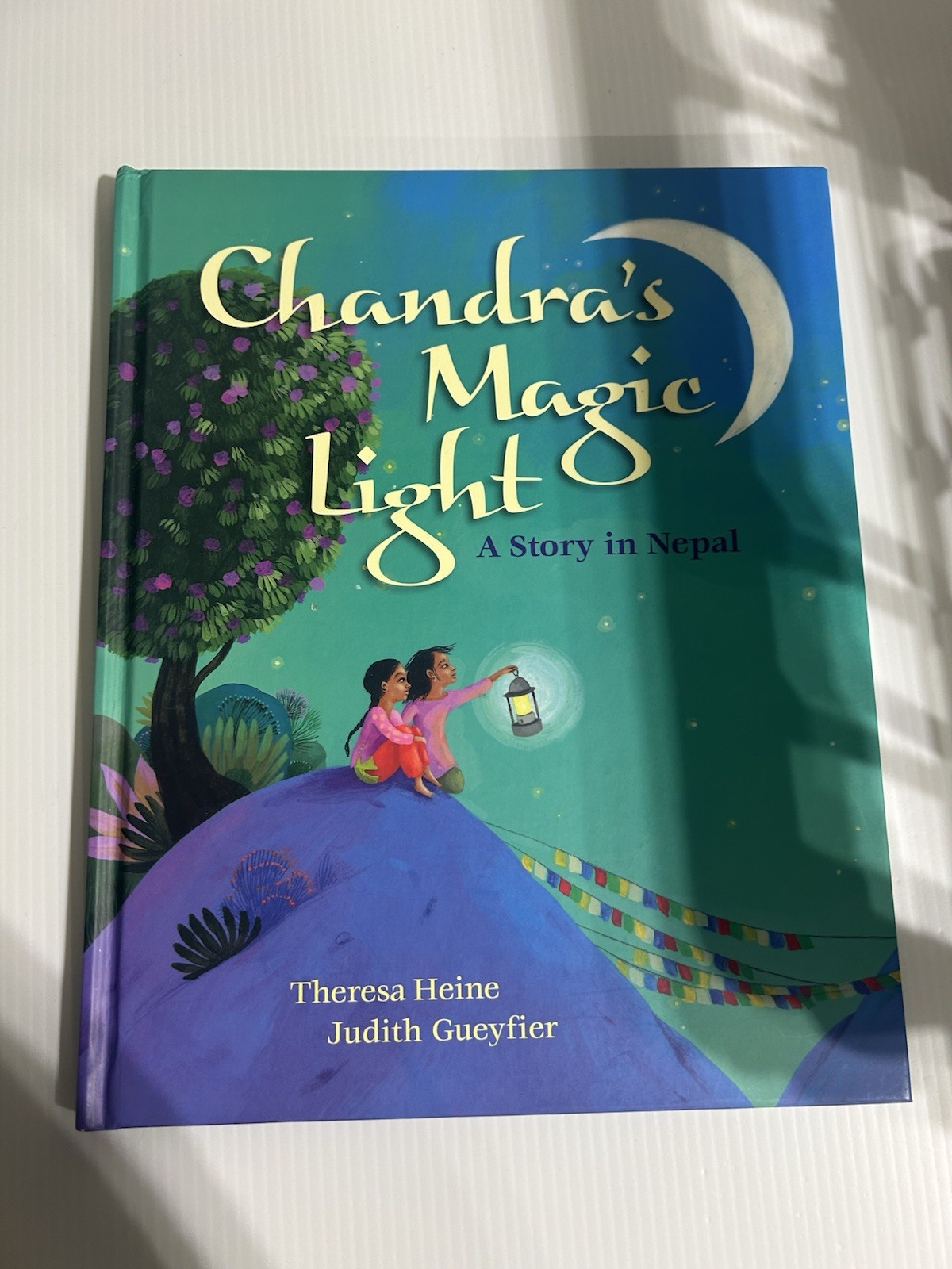 Chandra’s Magic Light by Theresa Heine (2014, Trade hardback )