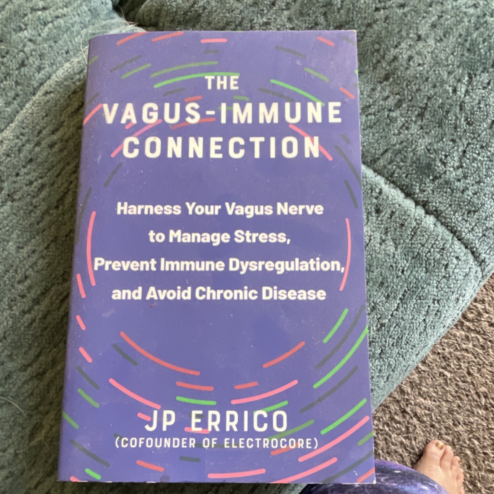 The Vagus-Immune Connection by JP Errico Paperback Ulysses Press Health Medical