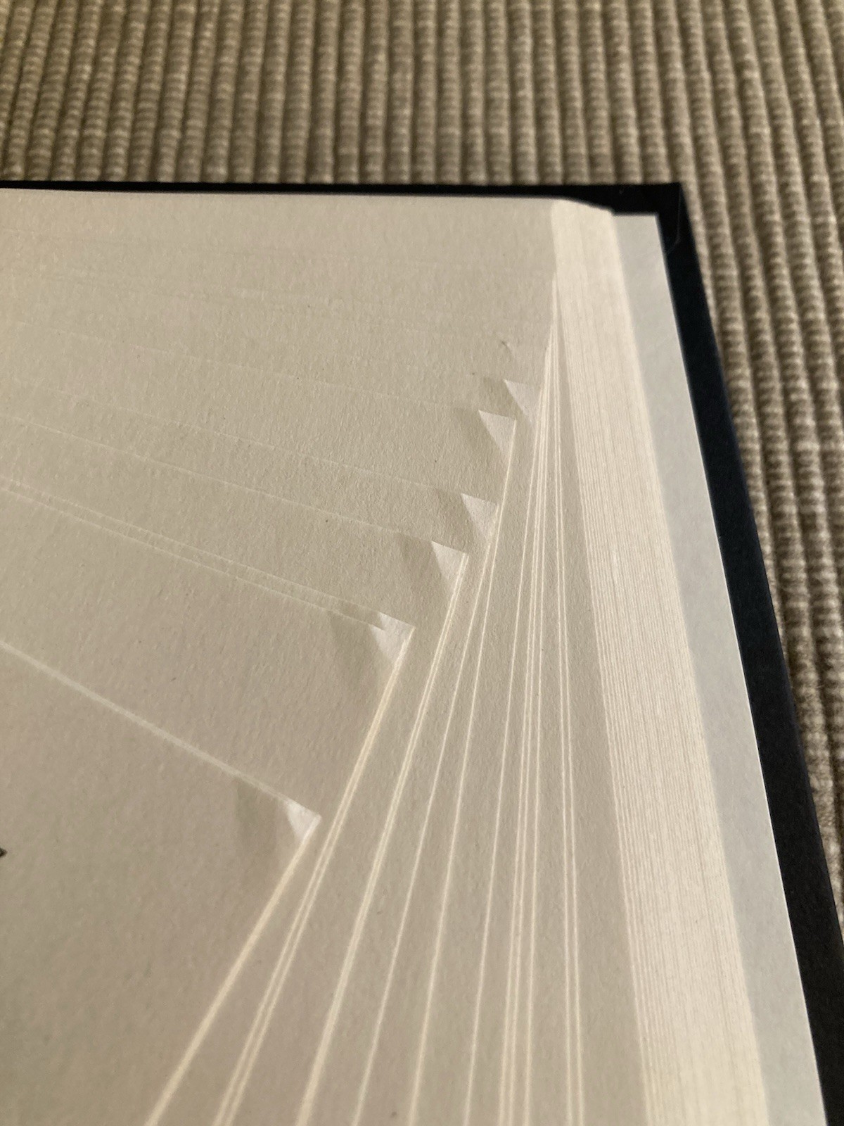 Project Hail Mary by Andy Weir – 1st Edition/Later Print Hardcover!