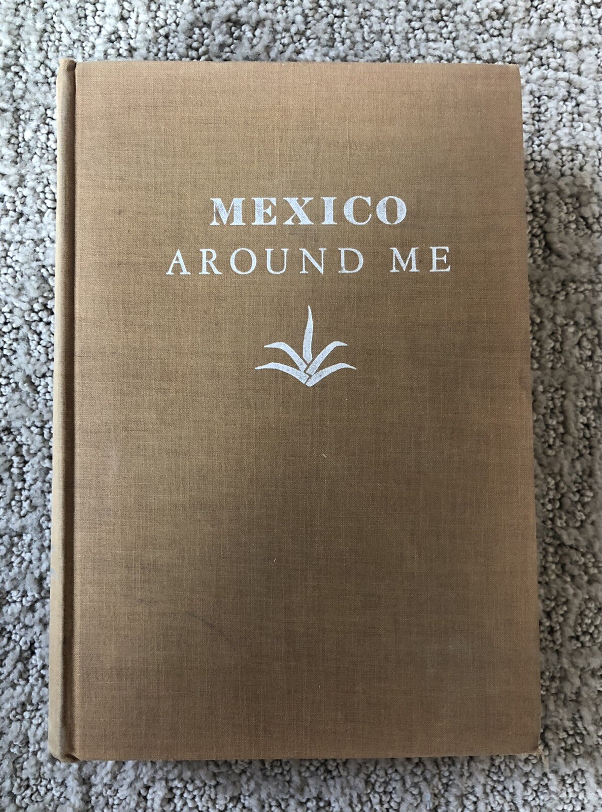 Mexico around Me by Max Miller