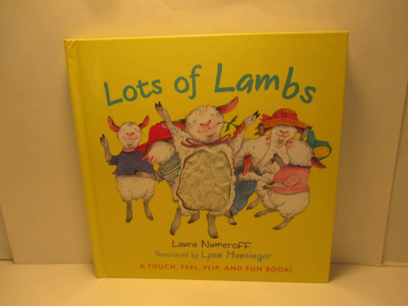lift the flap LOTS OF LAMBS by LAURA NUMBEROFF illus LYNN MUNSINGER 2012 hc
