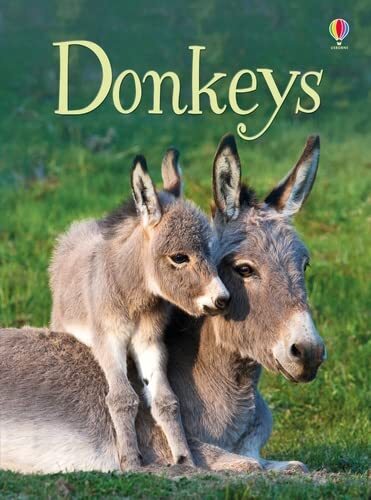 Donkeys (Beginners) By James MacLaine