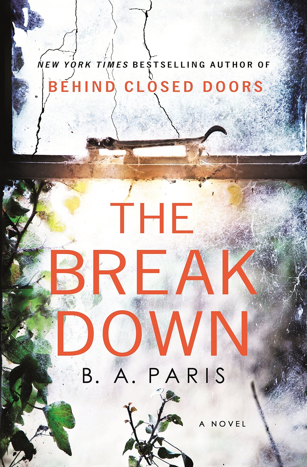 The Breakdown: A Novel – hardcover Paris, B.A.