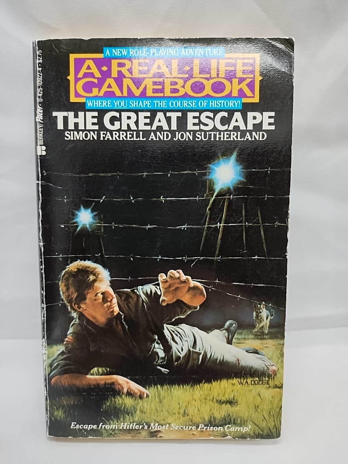 A Real Life Gamebook The Great Escape Choose Your Own Adventure Book