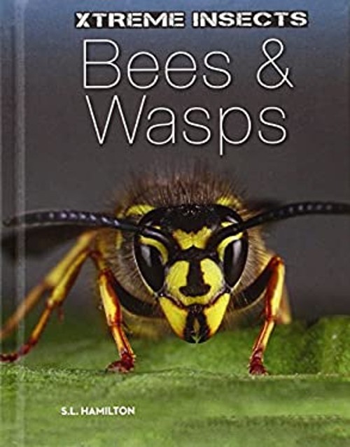 Bees and Wasps Library Binding S. L. Hamilton