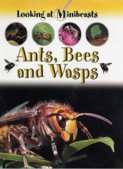Ants, Bees and Wasps (Looking at Minibeasts) By Sally Morgan. 97