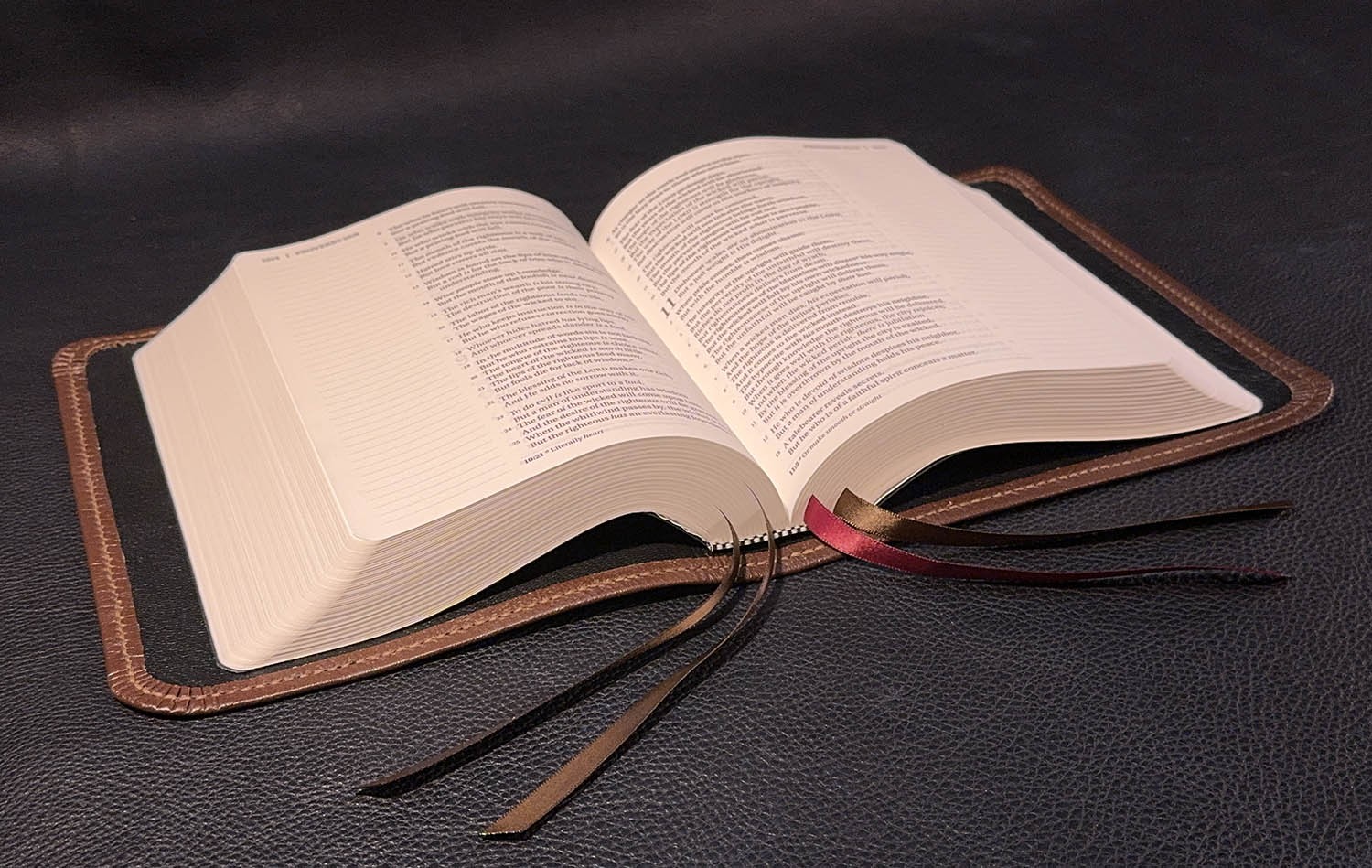 Student Study Bible, Pebbled Brown Goatskin Leather, Black Liner, 4 Ribbons