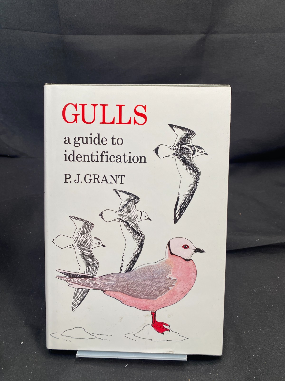 Gulls : A Guide to Identification by Peter J. Grant (1986, Hardcover)