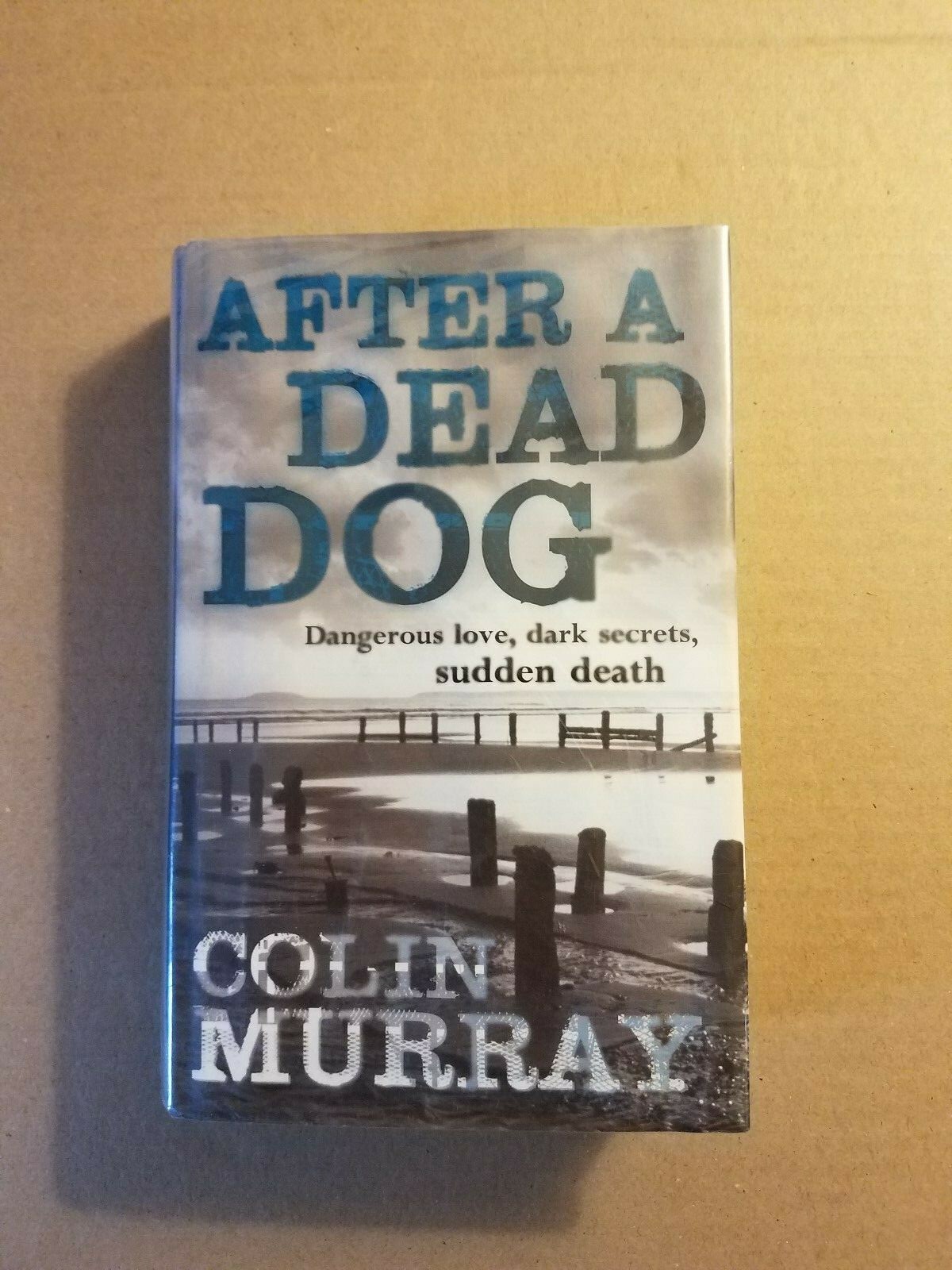After a Dead Dog : Dangerous Love, Dark Secrets, Sudden Death by Colin Murray…