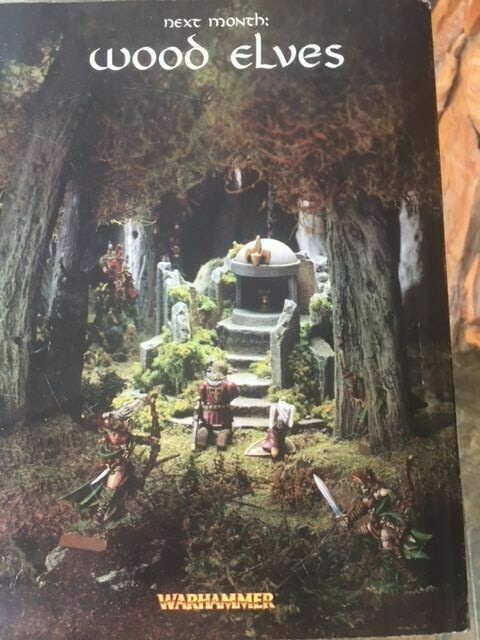 White Dwarf Warhammer Lizardmen Empire 40K Tyranid (July 2005 No.306) Magazine)