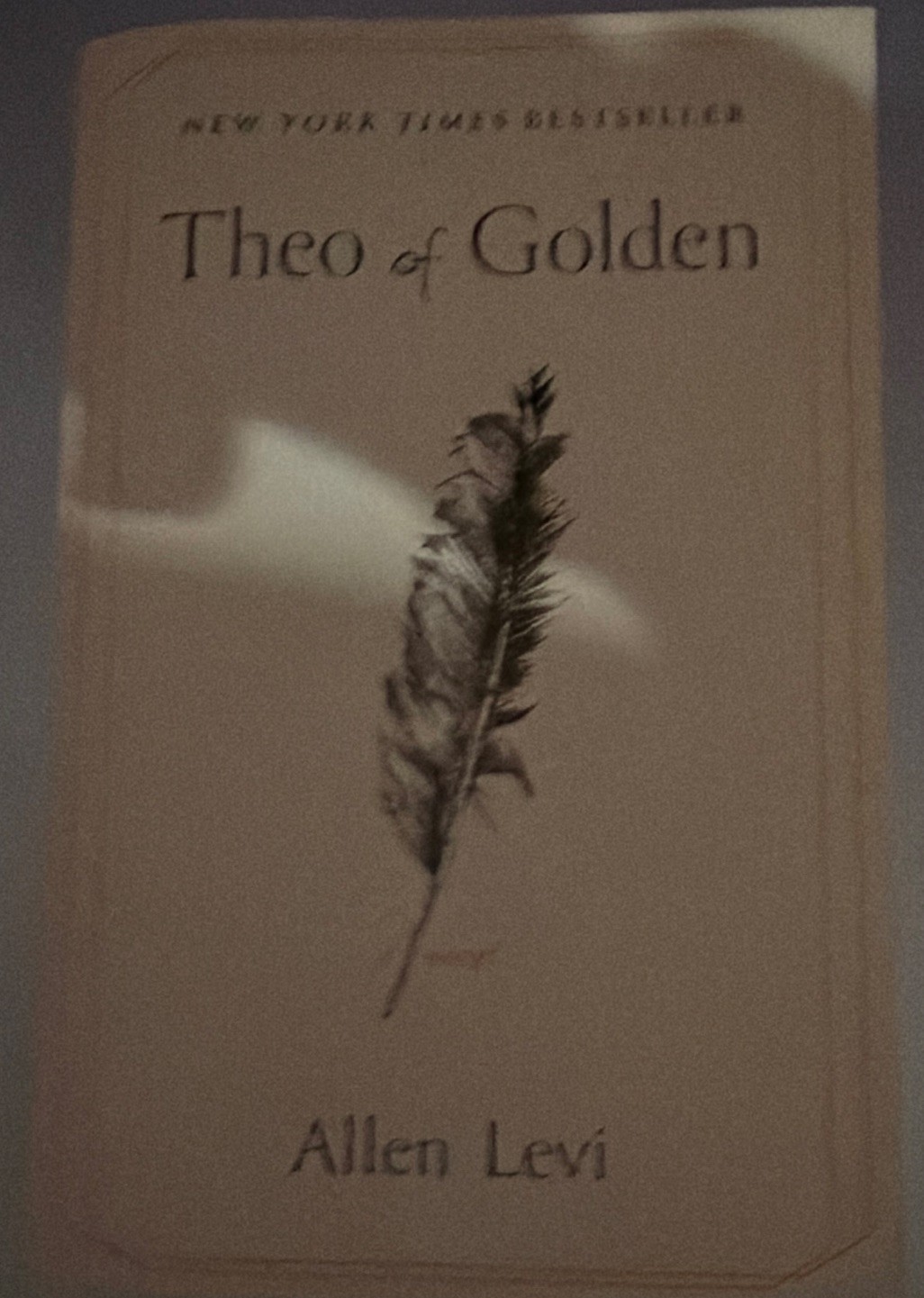 Allen Levi Theo of Golden Paperback Novel Fiction Literary English Adults
