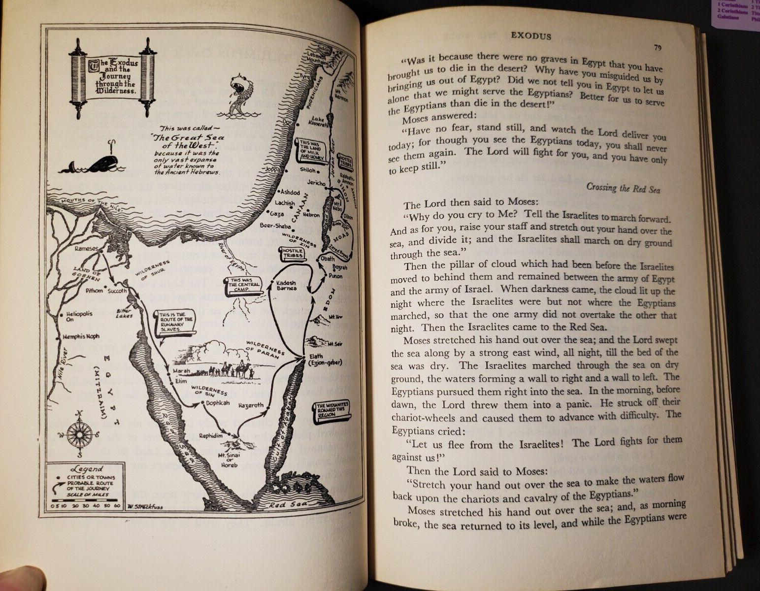 Vtg Pathways Through The Bible (1946) by Mortimer J. Cohen 11th Impression 1955