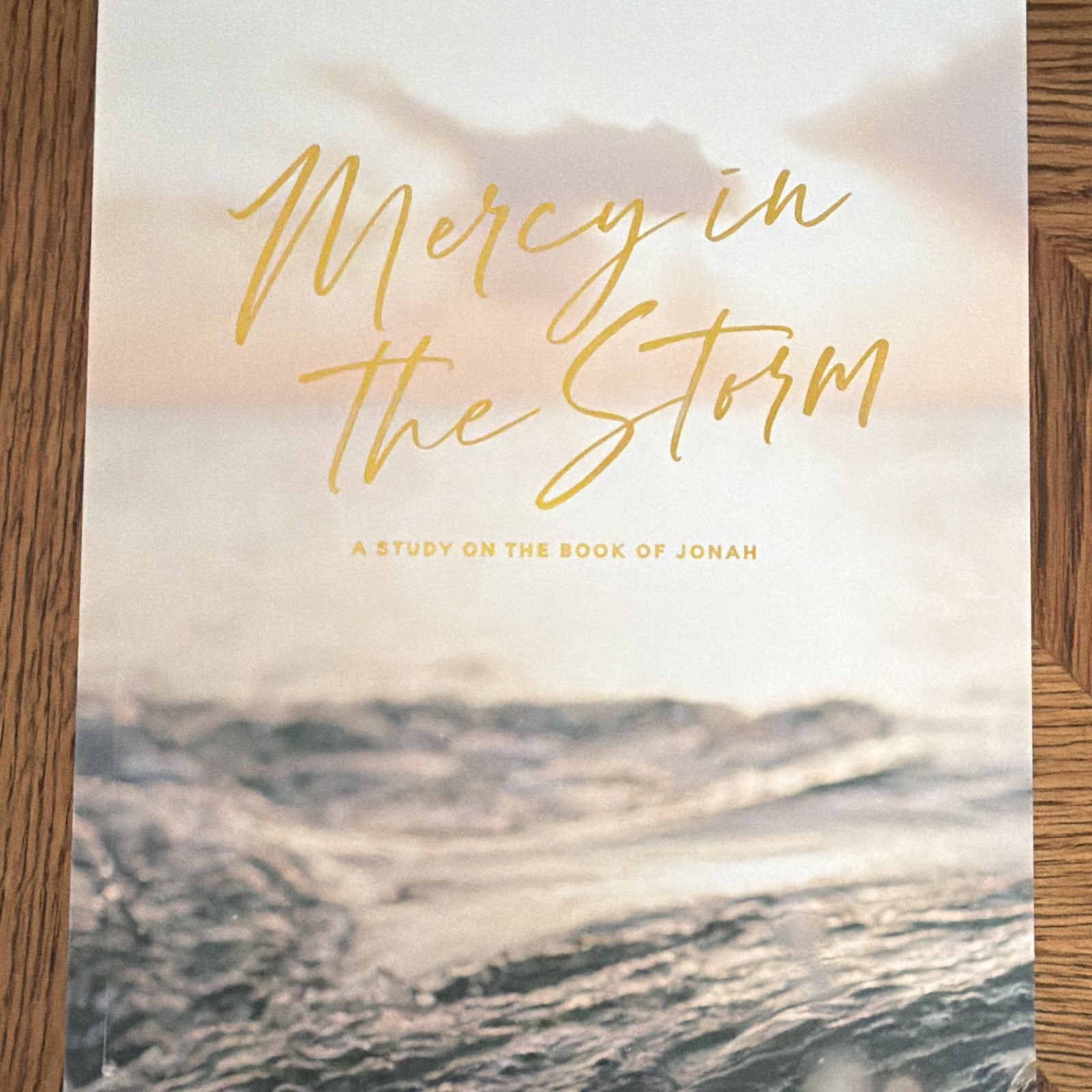 The Daily Grace Co. Mercy in the Storm Joanna Kimbrel PB Bible Study Jonah