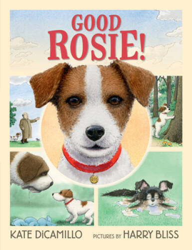 Good Rosie! – Hardcover By DiCamillo, Kate – GOOD