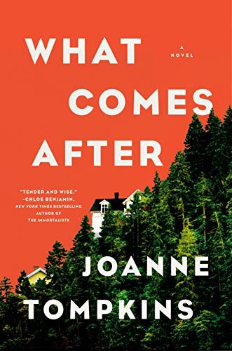 What Comes After: A Novel by Tompkins, JoAnne