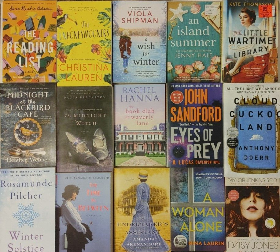 RANDOM MIX Lot of 10 Popular Fiction Paperback Books MYSTERY Suspense HISTORICAL