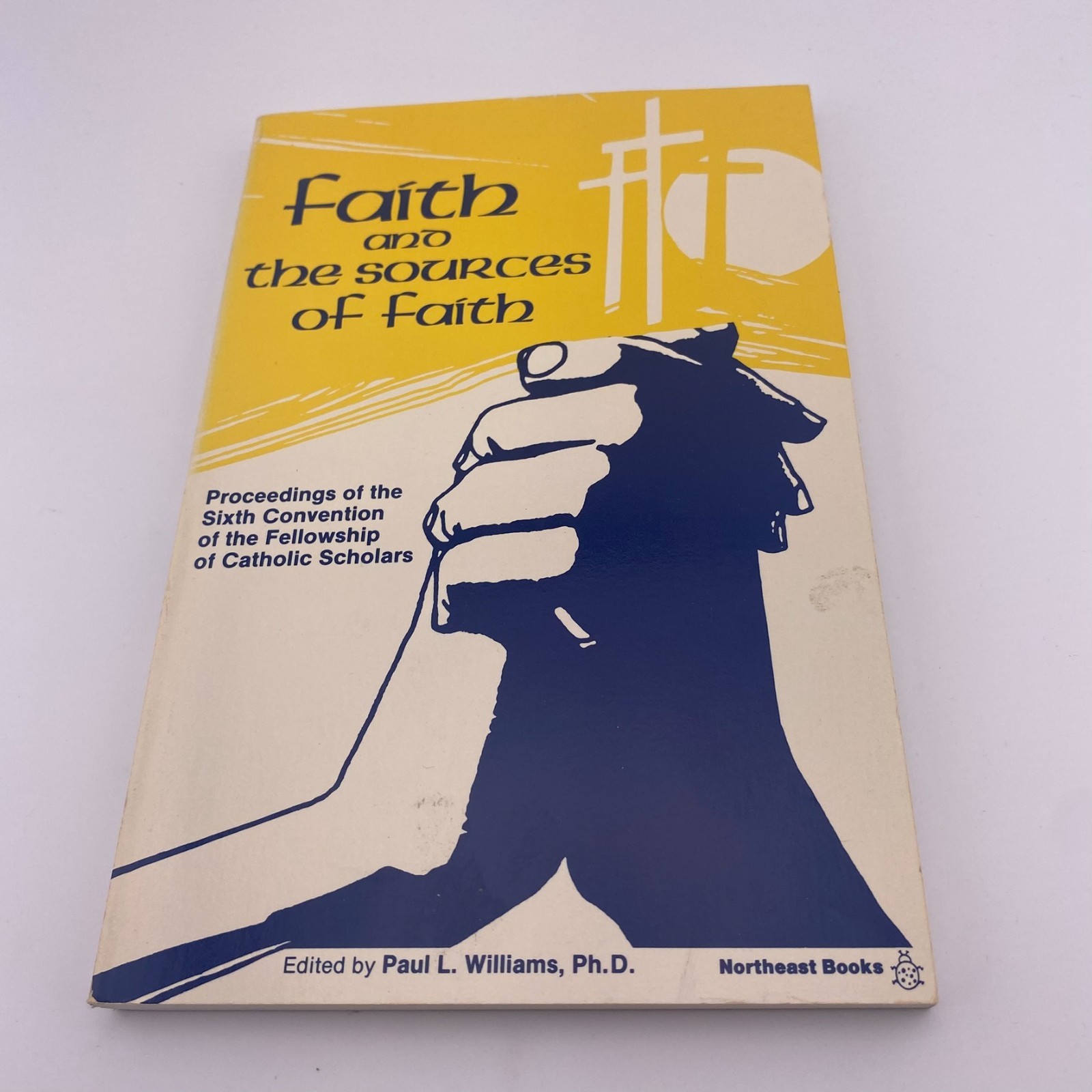 Faith and the Sources of Faith Catholic Scholars Theology 1985 PB
