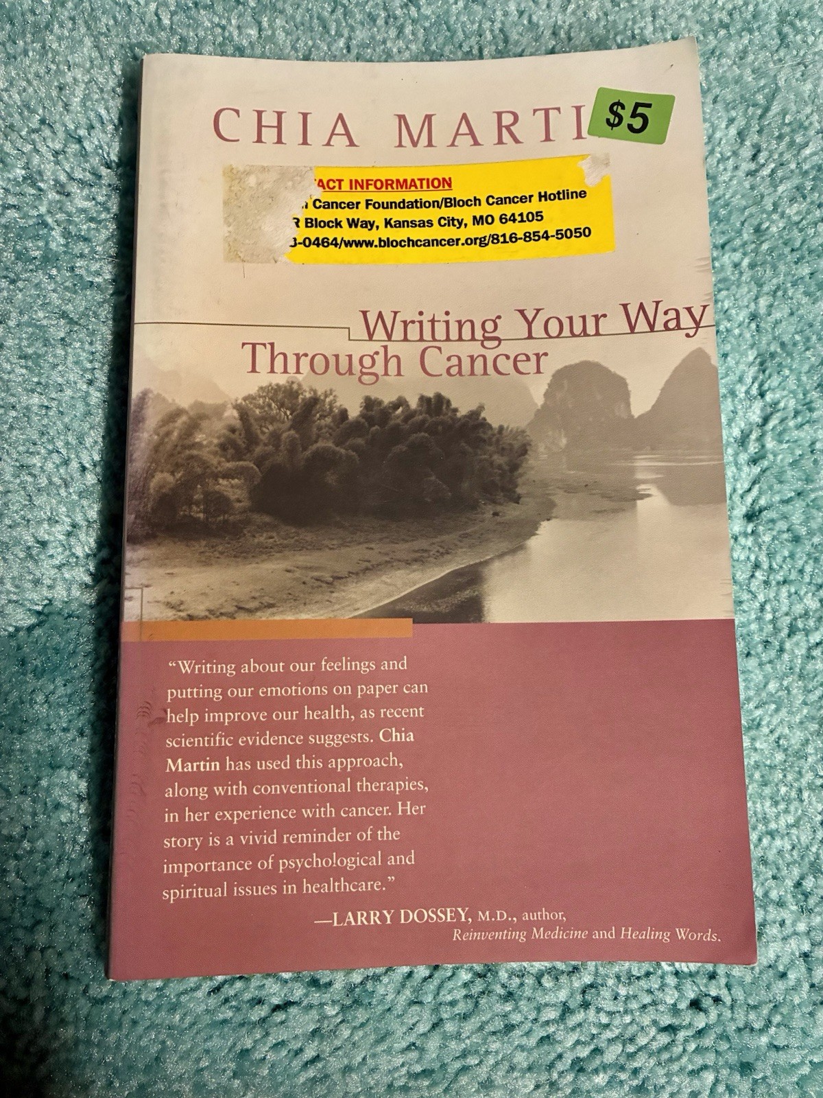 Writing Your Way Through Cancer by Chia Martin (2000, Trade Paperback)