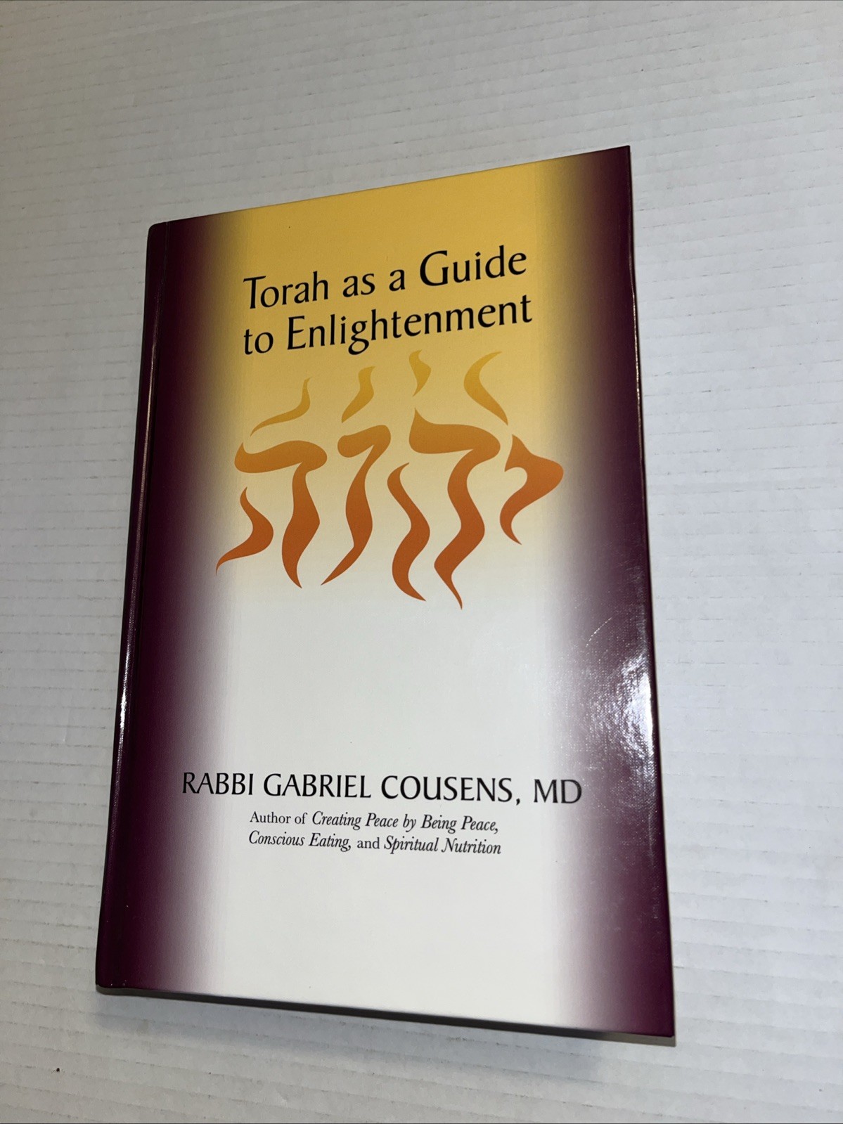Torah As a Guide to Enlightenment by Gabriel Cousens (2011, Hardcover)