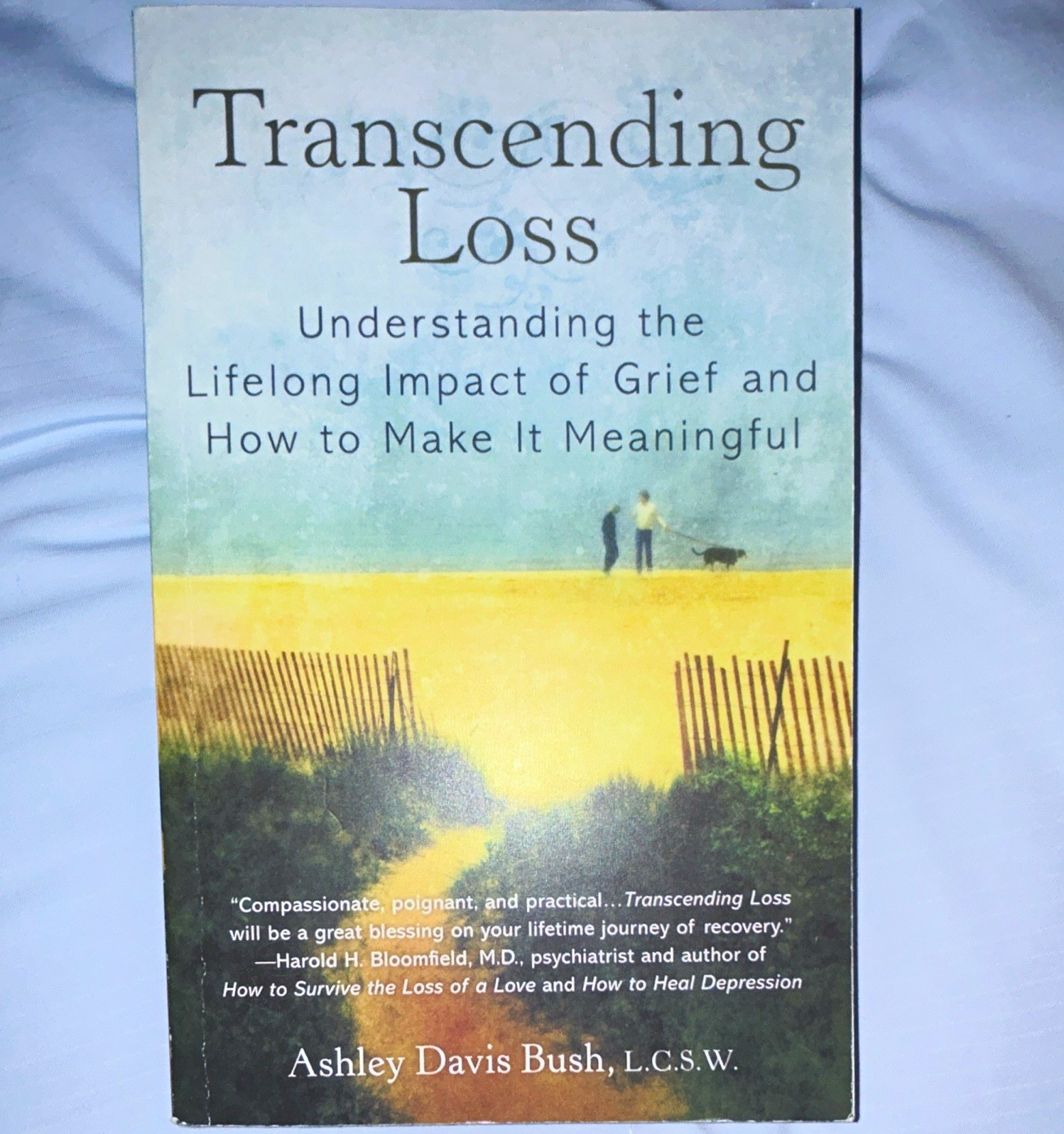 Ashley Davis Bush Transcending Loss Grief & Meaning UK-B Paperback 1997