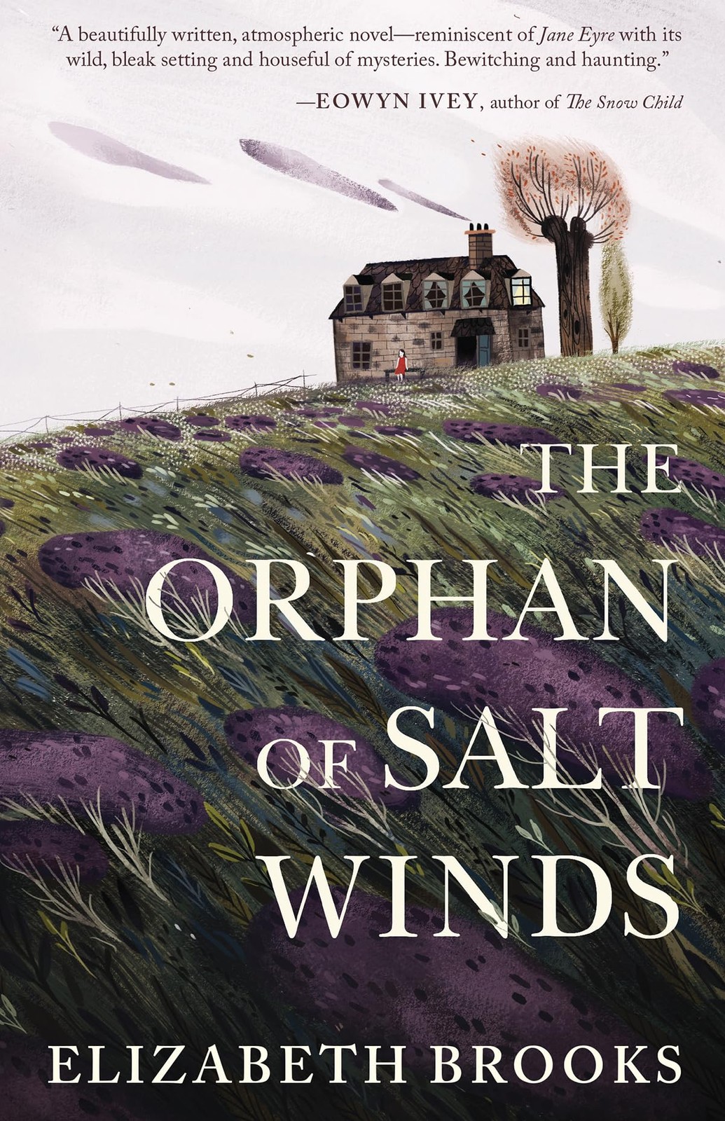 The Orphan of Salt Winds – paperback Brooks, Elizabeth