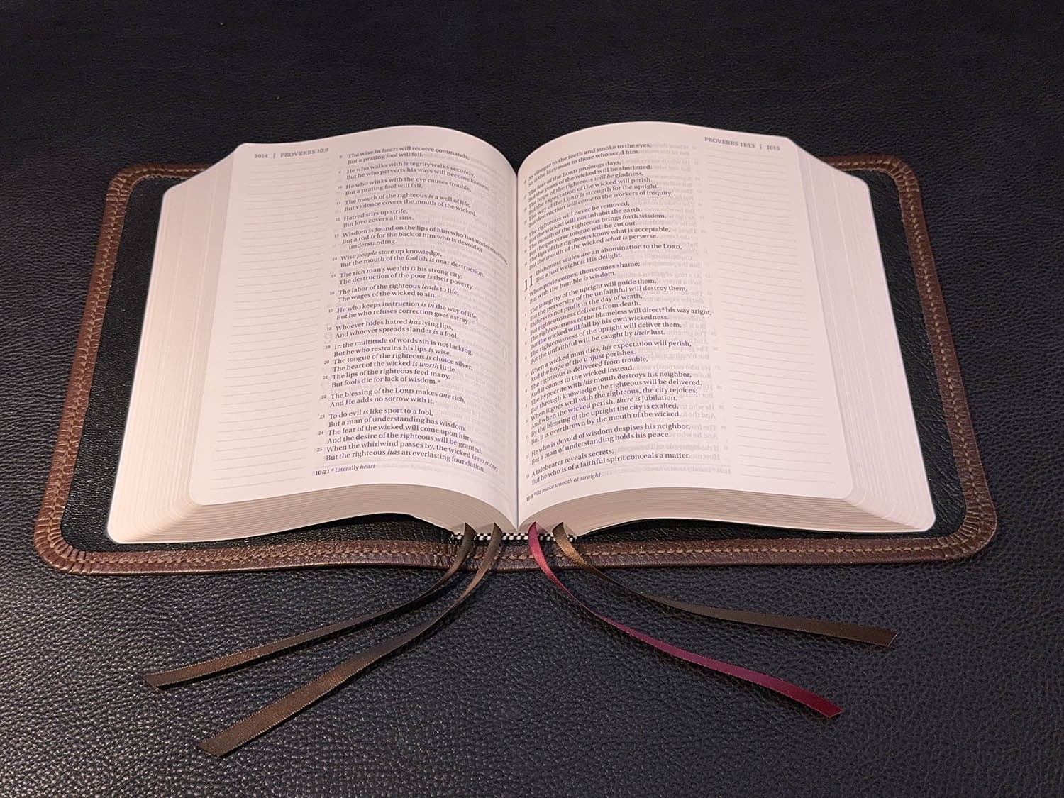 Student Study Bible, Pebbled Brown Goatskin Leather, Black Liner, 4 Ribbons