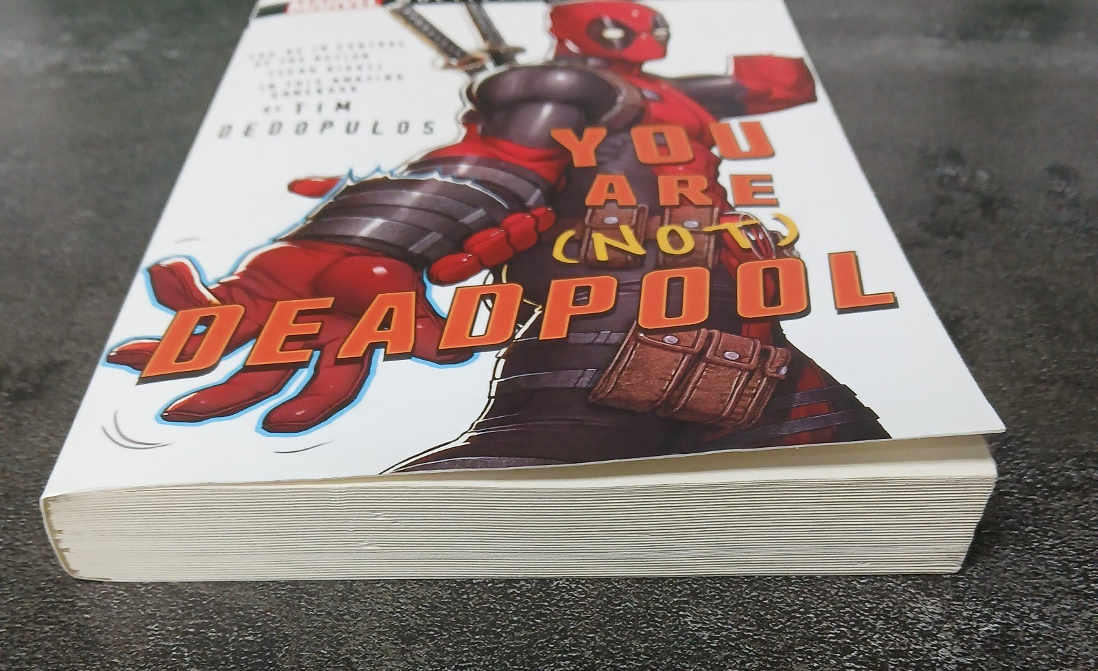 You Are (Not) Deadpool : A Marvel: Multiverse Missions Gamebook Tim Dedopulos