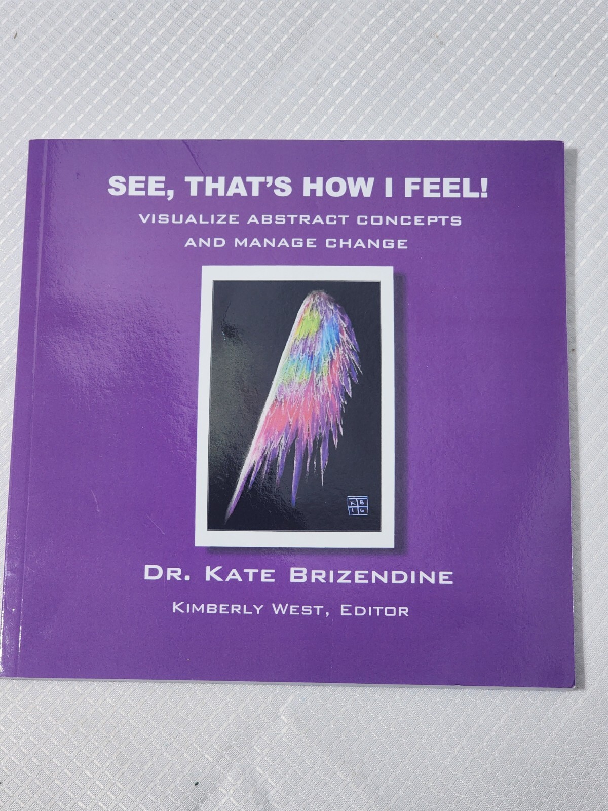 See, That’s How I Feel! Dr. Kate Brizendine Paperback Visual Learning Book