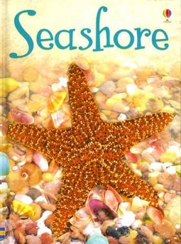 Seashore: Level 1 (Usborne Beginners) – Hardcover By Beckett-Bowman, Lucy – GOOD