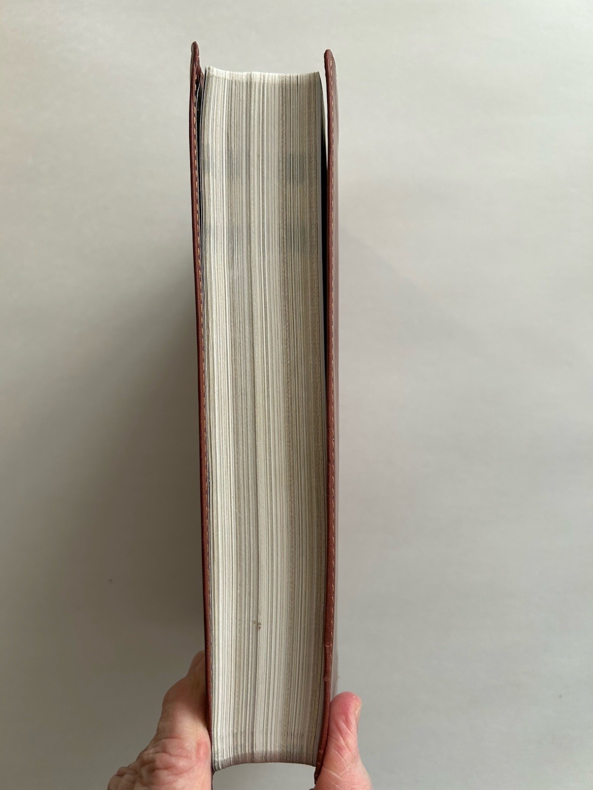 CSB Essential Teen Study Bible “LeatherTouch” Red Letter by Holman