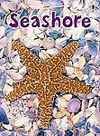 Seashore: Level 1 (Usborne Beginners) by Lucy Beckett-Bowman