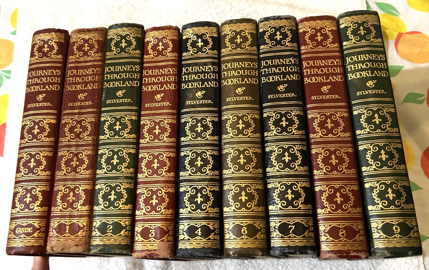 9 JOURNEYS THROUGH BOOKLAND Sylvestre Bellows-Reeve 1922 Guide 1-4 6-9 & Guide