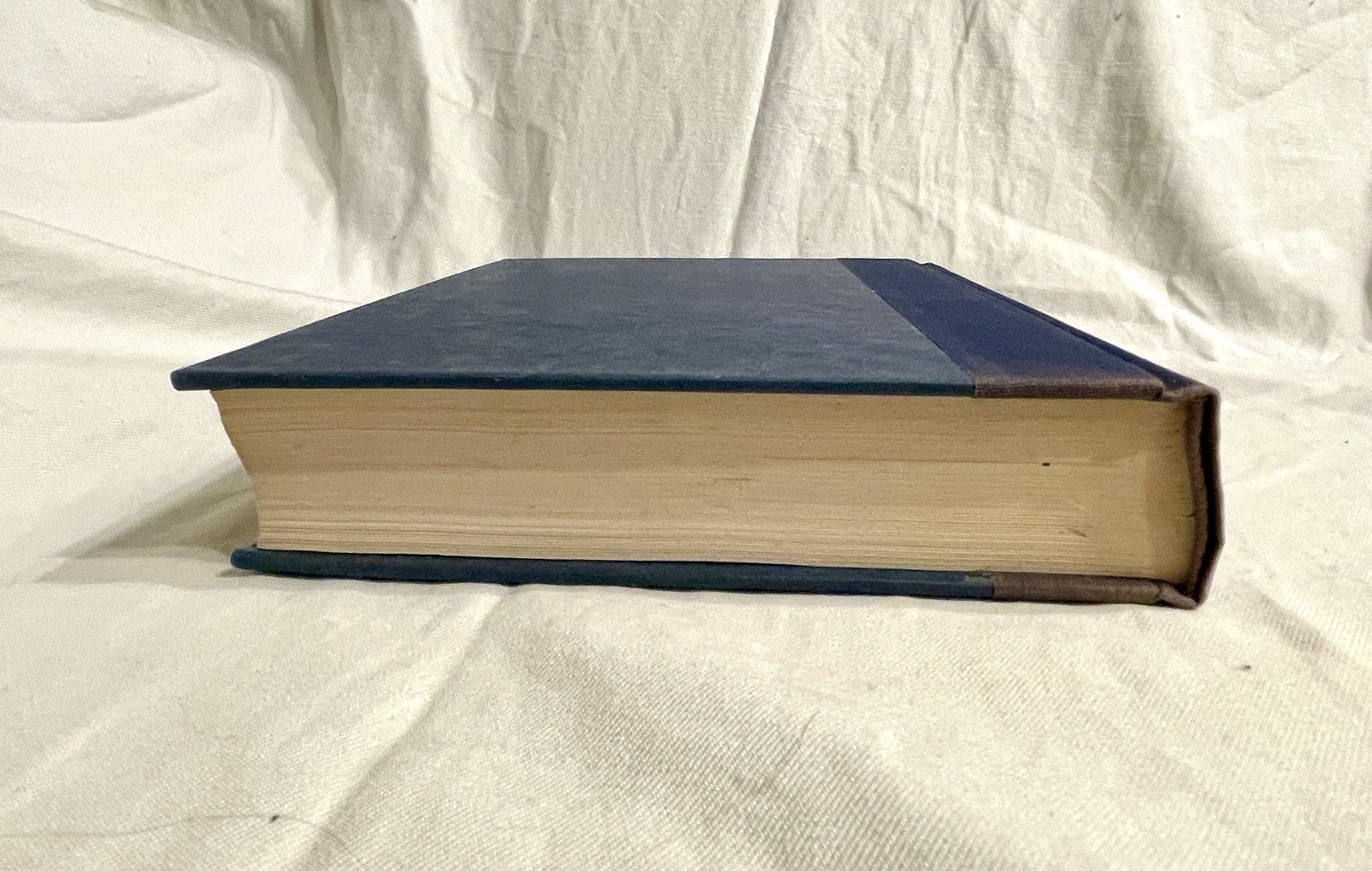 The White Plague – first edition, first printing – Frank Herbert 1982