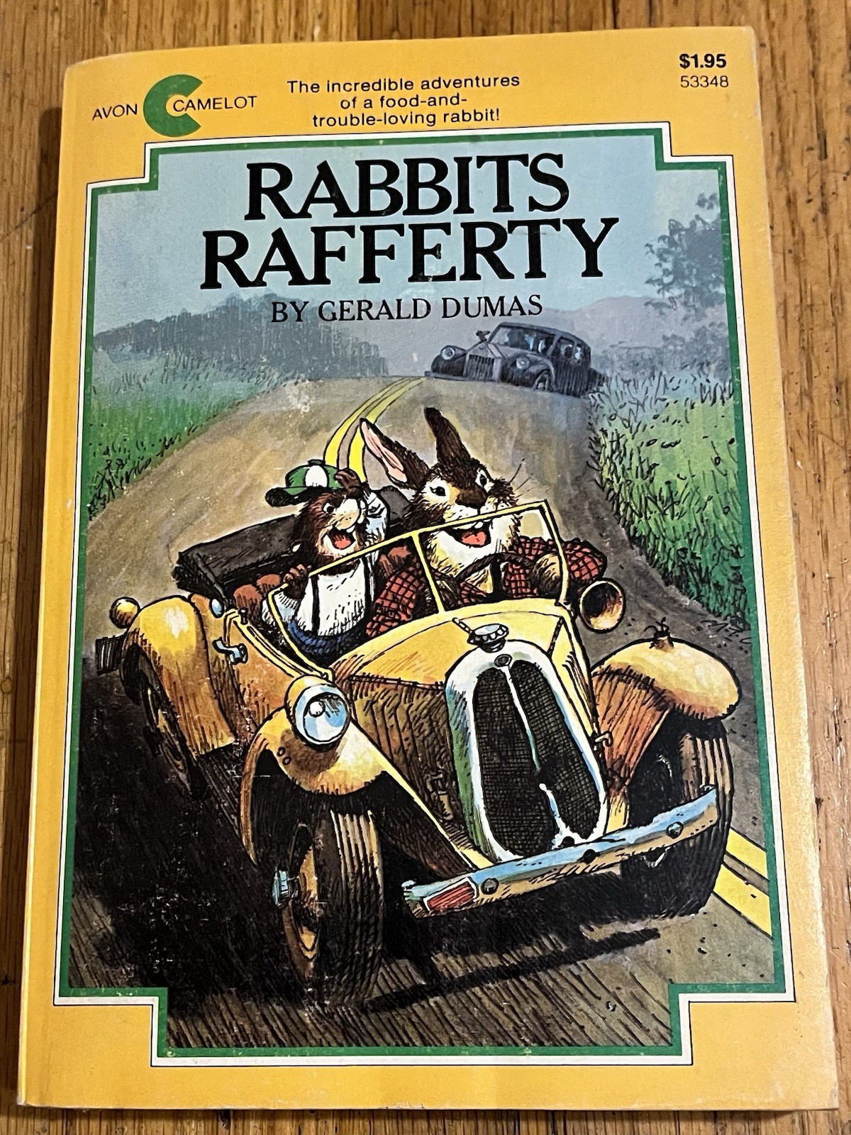 RABBITS RAFFERTY : by Gerald Dumas : illus Wallace Tripp : vintage