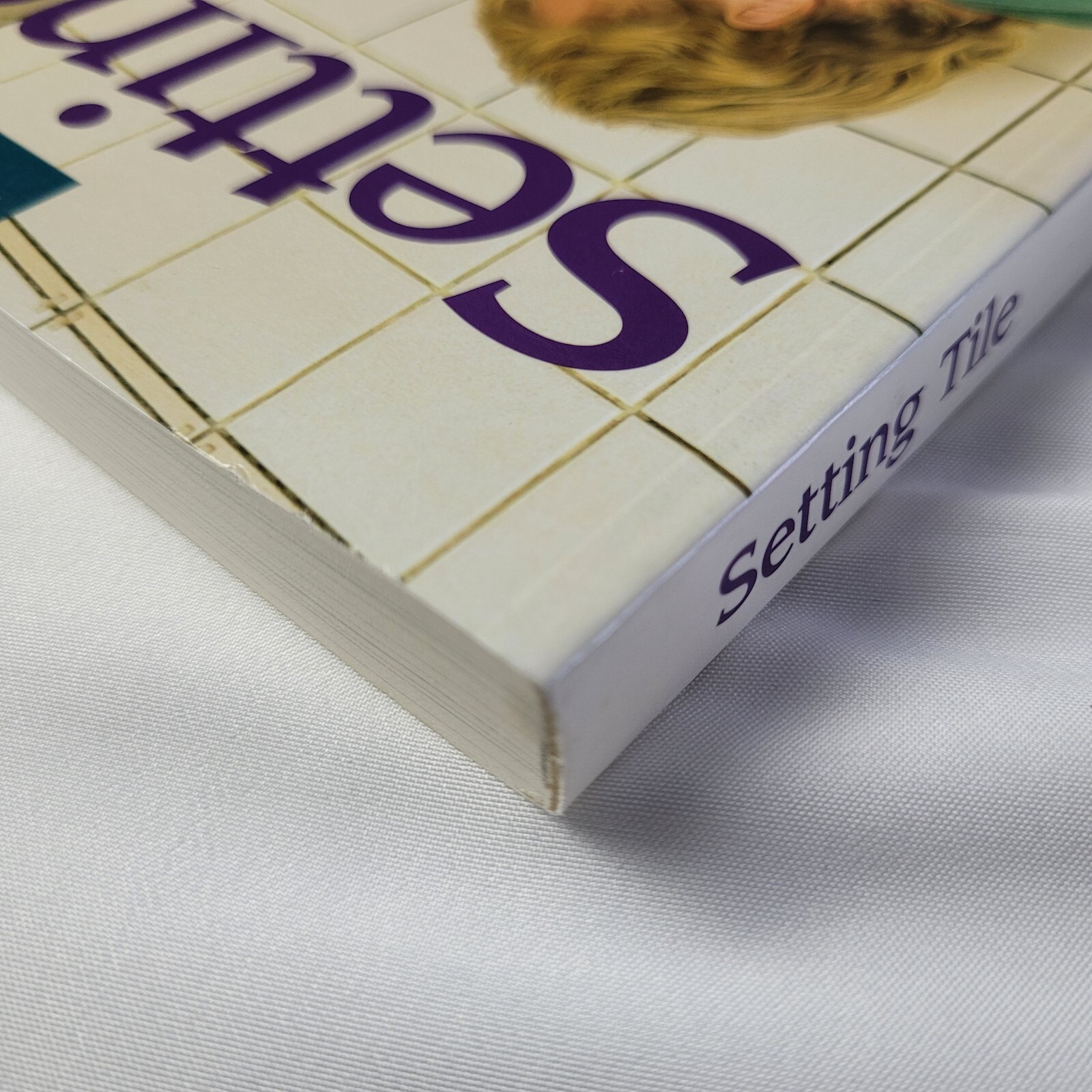 Taunton Setting Tile paperback Michael Byrne revised 1995 home remodeling design