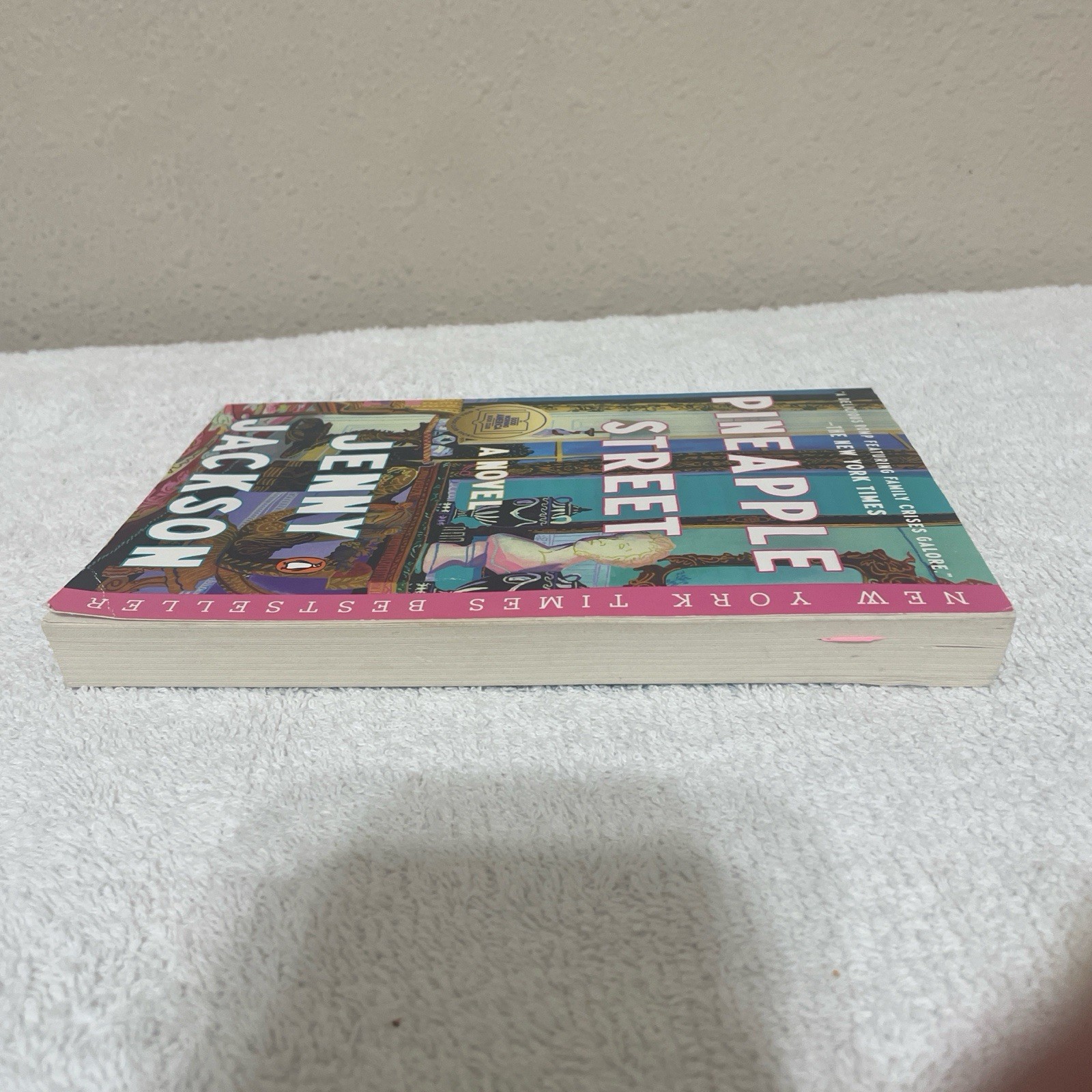 Pineapple Street Book By Jenny Jackson