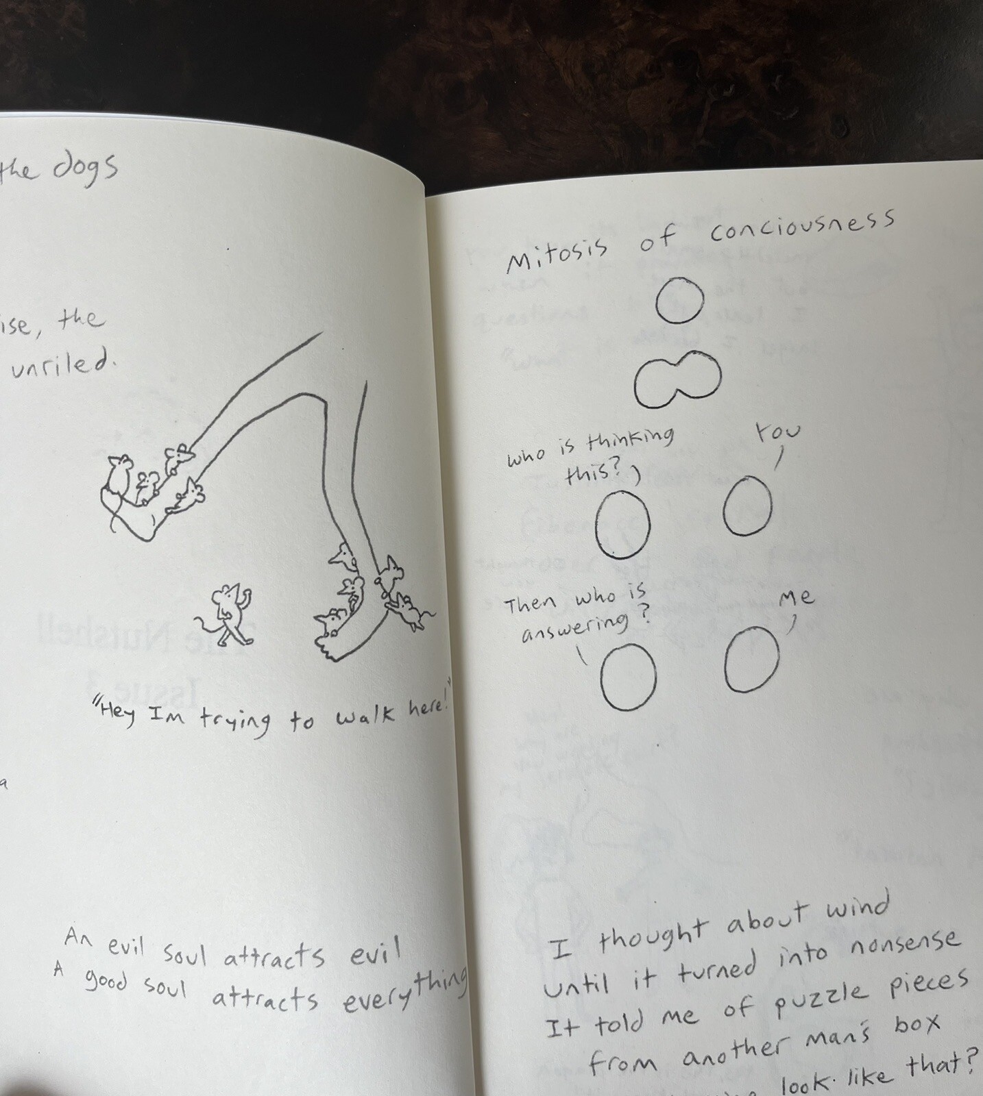 The Nutshell #3, Great Condition! A Zine of Comics Poetry and Doodles, 50 Pages!