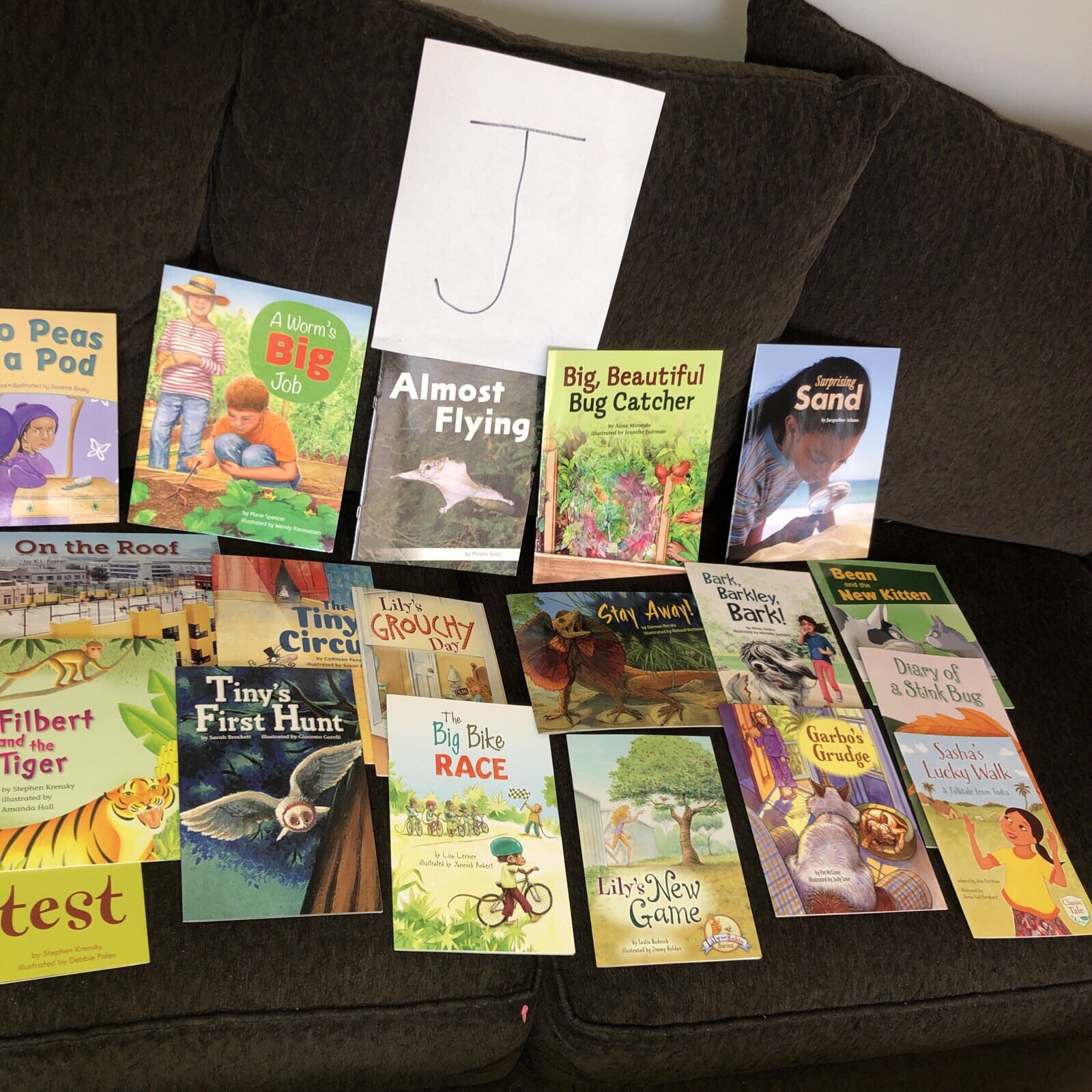 10 Books $15. Second Grade Reading Level TEACHER/SCHOOL LITERACY Free Ship