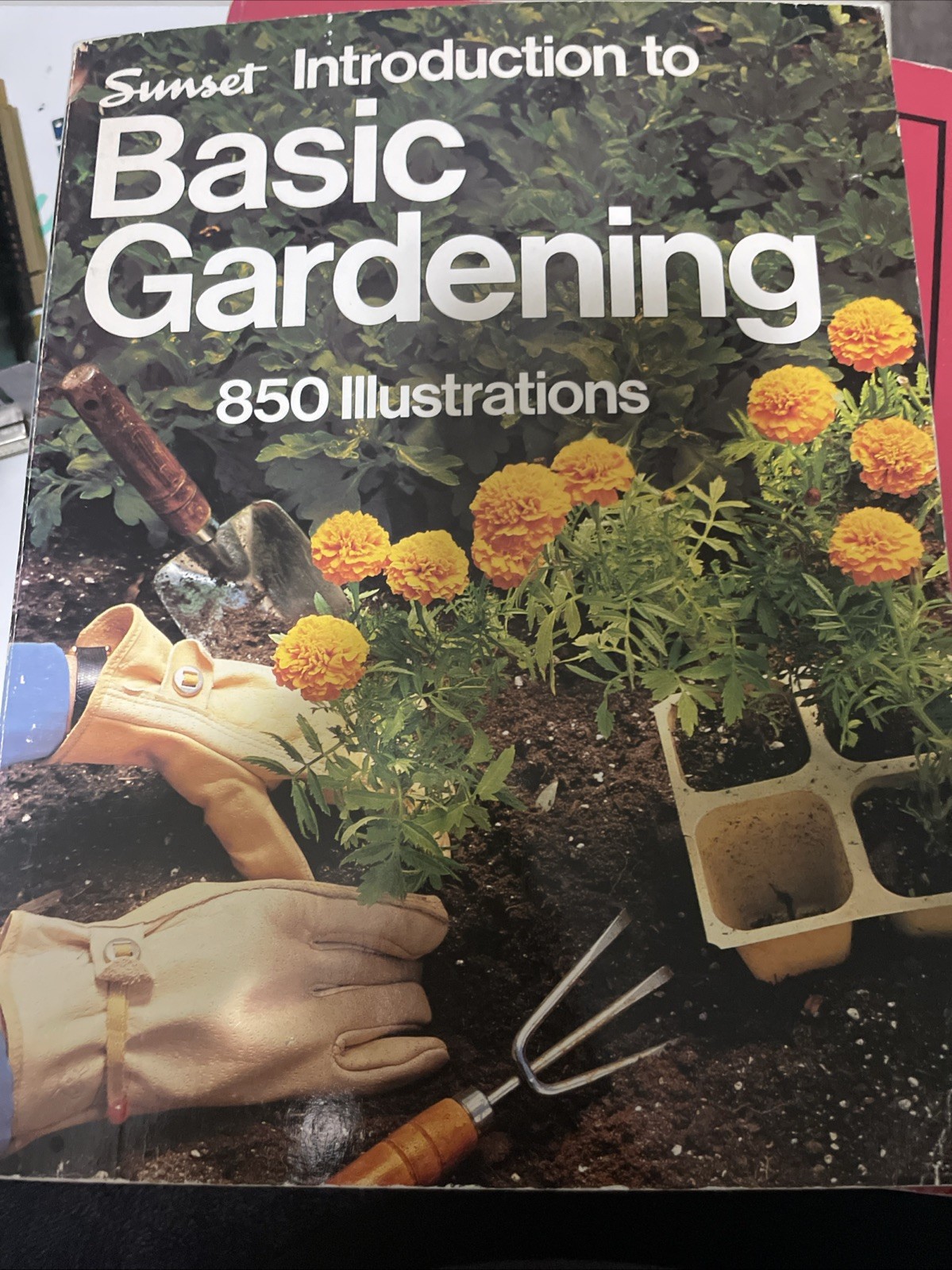 Basic Gardening : 850 Illustrations by Sunset Publishing Staff