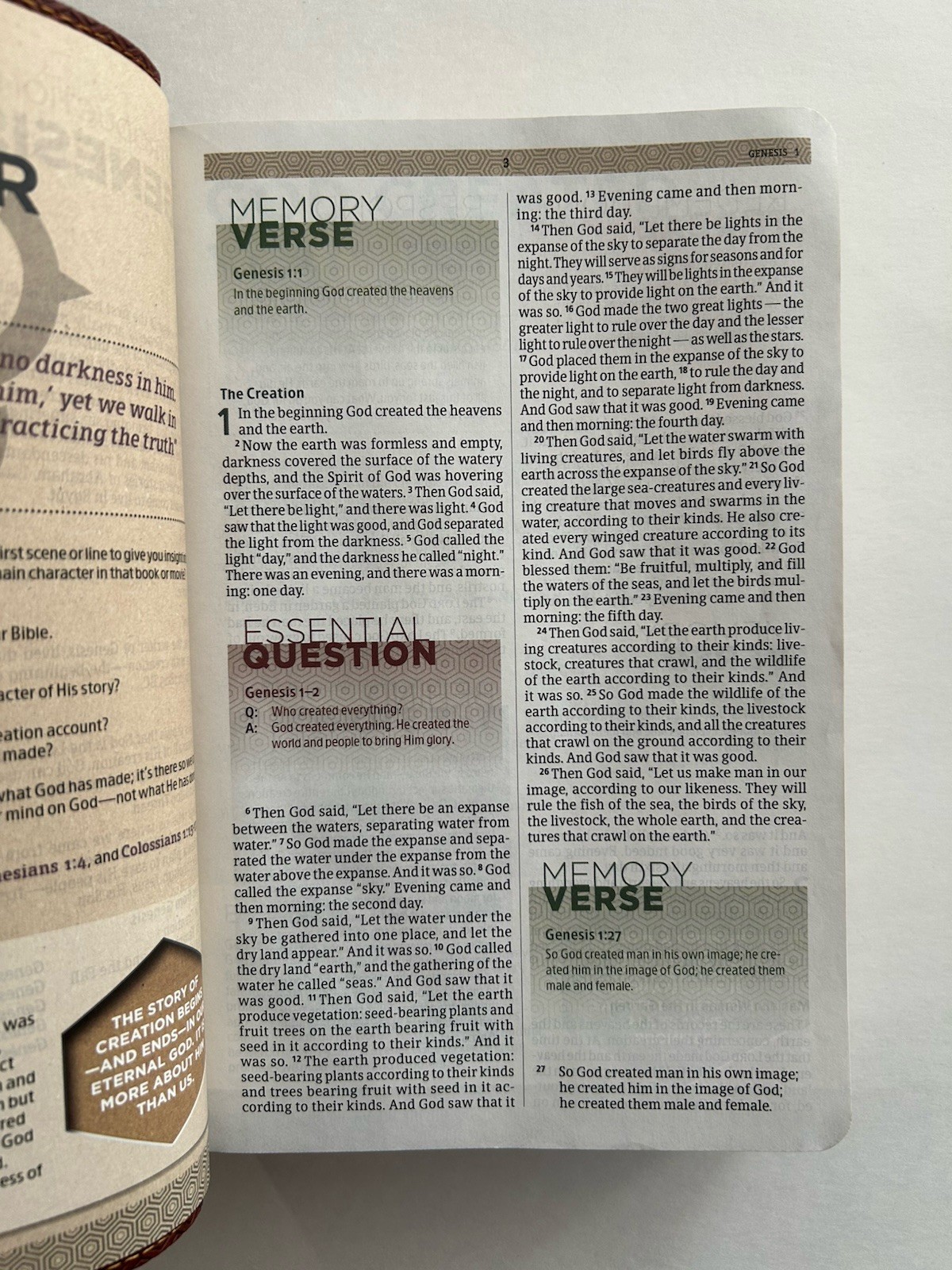 CSB Essential Teen Study Bible “LeatherTouch” Red Letter by Holman