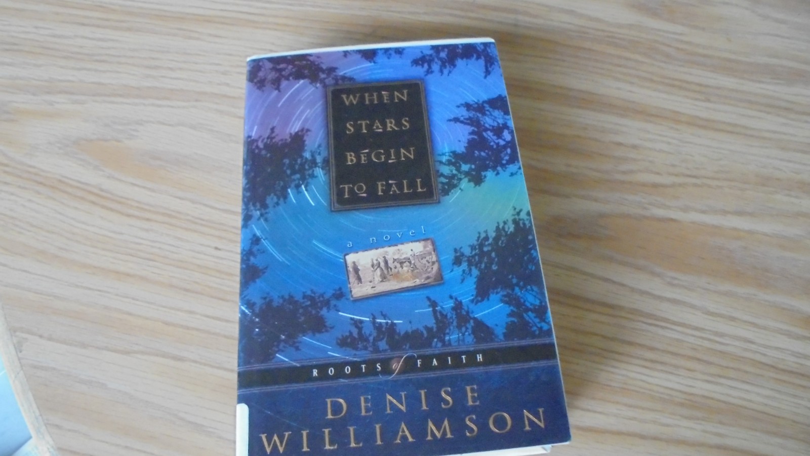 When Stars Begin to Fall by Denise Williamson (2000 hc