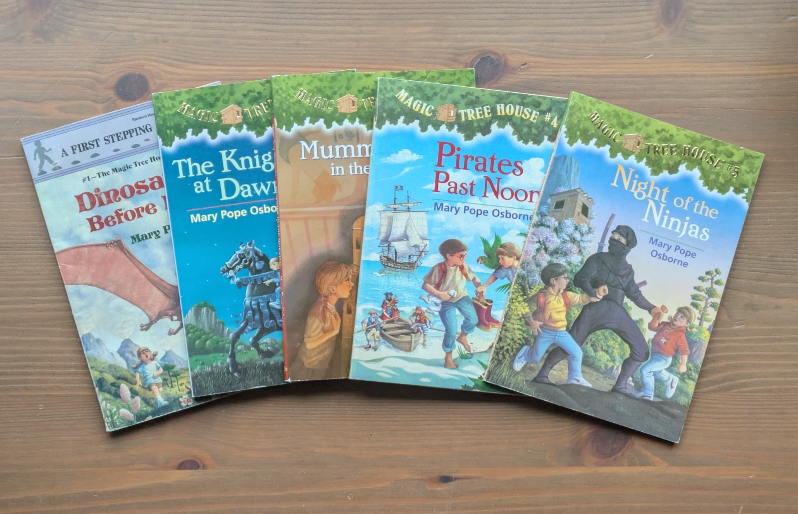 Magic Tree House 1–5 Set Vintage Mary Pope Osborn Kids Adventure Chapter Books