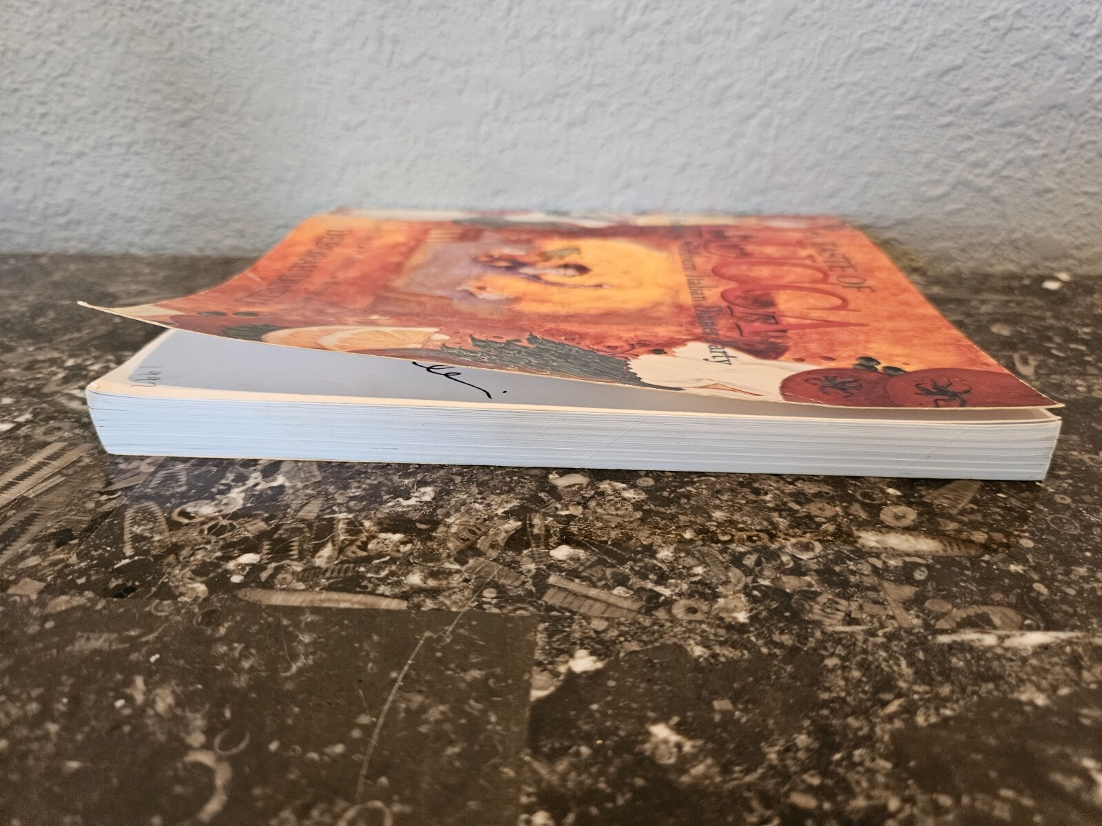 A Taste of Lucca – Signed by author Deborah Dinelli – 1996 – 208 pages