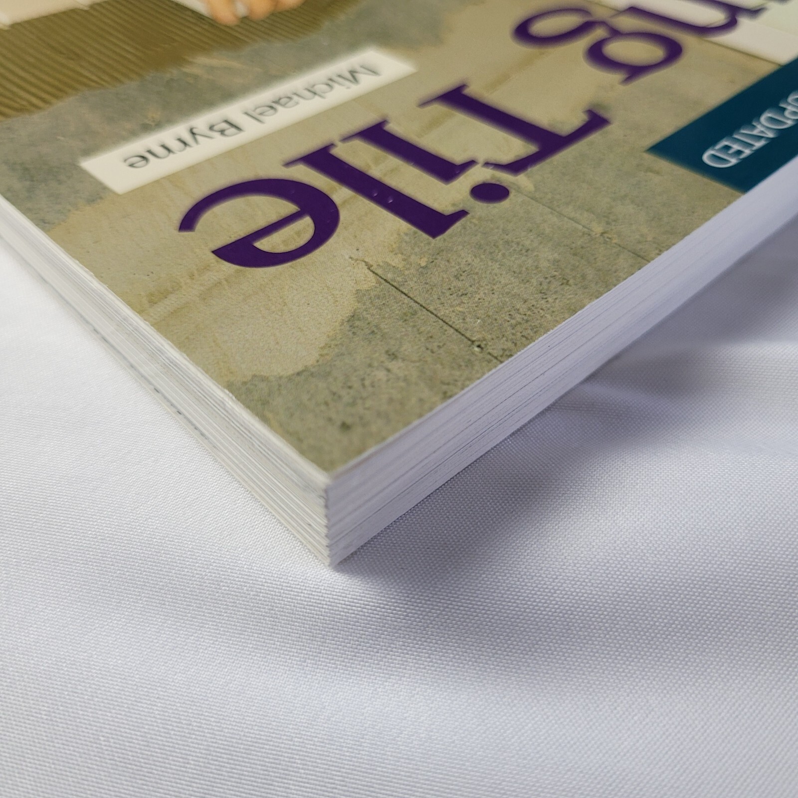 Taunton Setting Tile paperback Michael Byrne revised 1995 home remodeling design